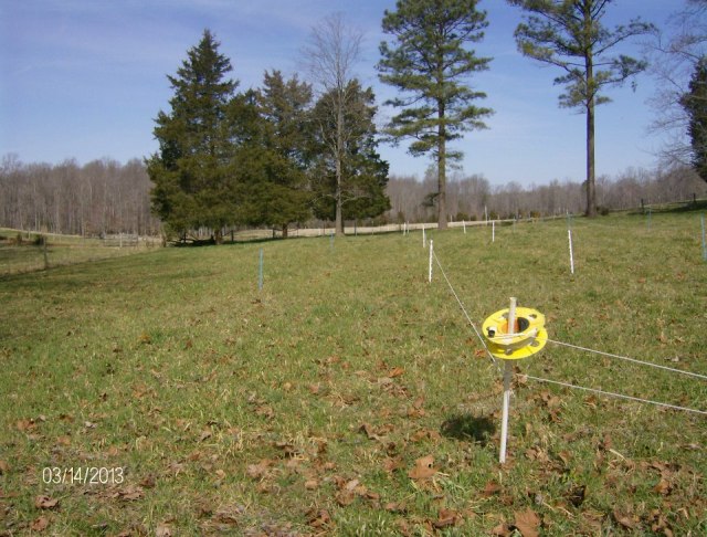 view down the strips