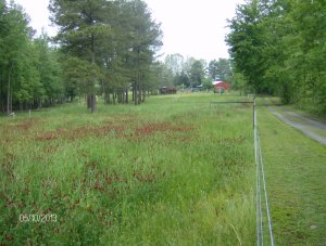 a 12 paddocks when ever it dries enough