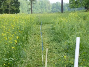 a bush hog a strip to put up the fence