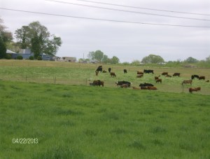 keenbell moving daily