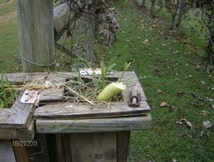 WONDER WHO DID THAT???