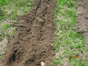 improved soil