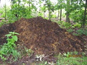 compost pile sunk two feet this week