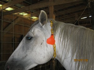 Star Baby less than thrilled