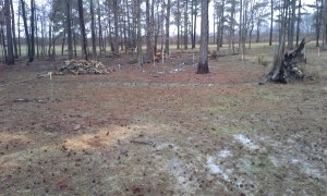 7 seeded and fenced 2