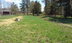 2 weeks post seeding B