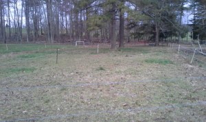 shed lot A after grazing