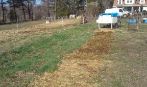 chicken tractor tracks