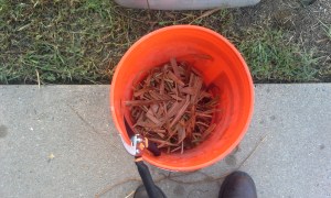 part of the residue from the left bucket